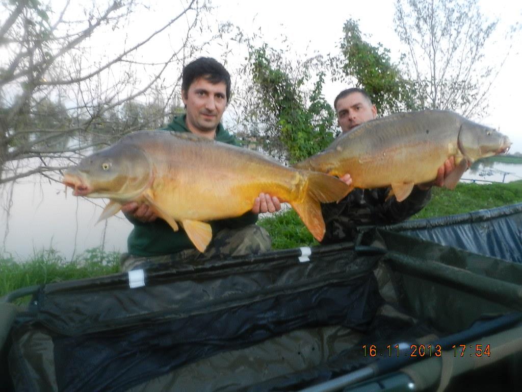 15 noiembrie 2013 - dscn1808.JPG